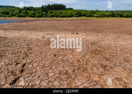 Sol cuit, fissuré et sec dans un réservoir presque vide pendant une vague de chaleur et une sécheresse (Llwyn Onn, pays de Galles) Banque D'Images