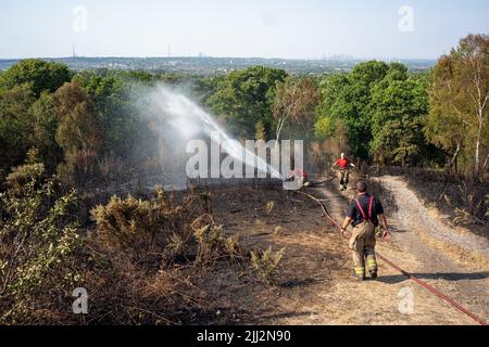 Une série de feux de forêt éclate à travers l'Angleterre alors que la vague de chaleur intense atteint des niveaux records. Les pompiers ont été appelés juste après midi pour assister à un incendie dans les bois de Shirley Hills Woods, l'un des plus grands parcs de Londres à Croydon. Bien que personne n'ait été blessé, il a exigé quatre pompiers et plus de 25 pompiers pour maîtriser l'incendie. Banque D'Images