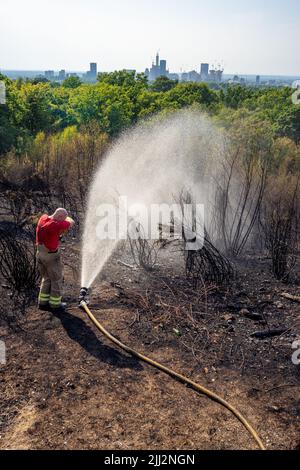 Une série de feux de forêt éclate à travers l'Angleterre alors que la vague de chaleur intense atteint des niveaux records. Les pompiers ont été appelés juste après midi pour assister à un incendie dans les bois de Shirley Hills Woods, l'un des plus grands parcs de Londres à Croydon. Bien que personne n'ait été blessé, il a exigé quatre pompiers et plus de 25 pompiers pour maîtriser l'incendie. Banque D'Images