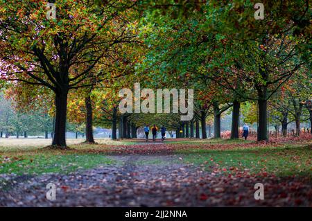 Les gens qui marchent sur un chemin à Wollaton Park, Nottingham, Royaume-Uni, en automne Banque D'Images