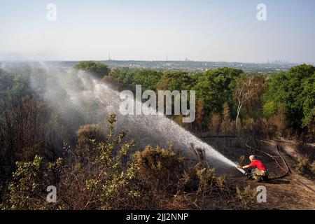 Une série de feux de forêt éclate à travers l'Angleterre alors que la vague de chaleur intense atteint des niveaux records. Les pompiers ont été appelés juste après midi pour assister à un incendie dans les bois de Shirley Hills Woods, l'un des plus grands parcs de Londres à Croydon. Bien que personne n'ait été blessé, il a exigé quatre pompiers et plus de 25 pompiers pour maîtriser l'incendie. Banque D'Images