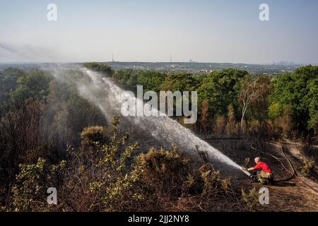 Une série de feux de forêt éclate à travers l'Angleterre alors que la vague de chaleur intense atteint des niveaux records. Les pompiers ont été appelés juste après midi pour assister à un incendie dans les bois de Shirley Hills Woods, l'un des plus grands parcs de Londres à Croydon. Bien que personne n'ait été blessé, il a exigé quatre pompiers et plus de 25 pompiers pour maîtriser l'incendie. Banque D'Images