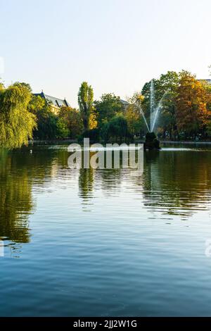 Paysage vert vif près du lac dans le jardin de Cismigiu (Gradina Cismigiu), un parc public dans le centre-ville de Bucarest Banque D'Images