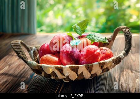 panier en osier rempli de prunes rouges sur une table rustique. photographié à la lumière naturelle dans la vie réelle Banque D'Images