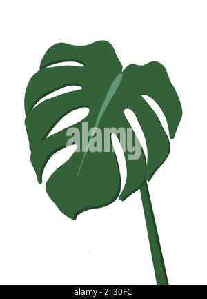 Illustration Monstera isolée sur fond blanc. Feuille de monstère peinte à la main, peinture numérique botanique œuvres d'art de base Banque D'Images