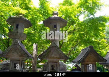 Lanternes en pierre à l'entrée du temple - sanctuaire avec forêt Banque D'Images