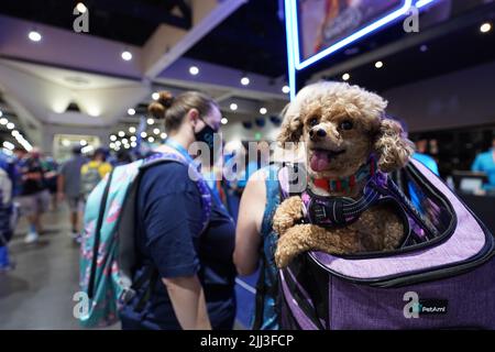 San Diego, Californie, États-Unis. 22nd juillet 2022. Atmosphère pendant l'International Comic-con 2022: San Diego au Centre de congrès de San Diego sur 22 juillet 2022 à San Diego, Californie. Crédit : Tony forte/Media Punch/Alay Live News Banque D'Images