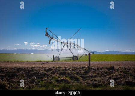 Irrigation à pivot central: Terres agricoles irriguées, North Canterbury, South Island Nouvelle-Zélande. Banque D'Images