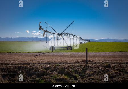 Irrigation à pivot central: Terres agricoles irriguées, North Canterbury, South Island Nouvelle-Zélande. Banque D'Images