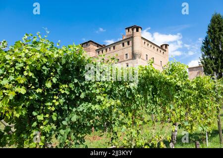 Vignoble dans la région du Piémont, en Italie, avec le château de Grinzane Cavour en arrière-plan. Le Langhe est le quartier des vins de Barolo. Banque D'Images