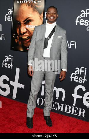 AFI Fest - première meurtrisée au TCL Chinese Theatre IMAX on 13 novembre 2021 à Los Angeles, CA avec: Stephan James où: Los Angeles, Californie, États-Unis quand: 14 nov 2021 crédit: Nicky Nelson/WENN Banque D'Images