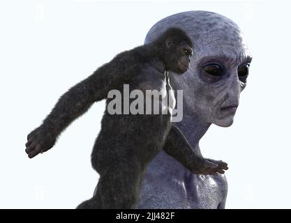 APE et extraterrestre, illustration. Banque D'Images