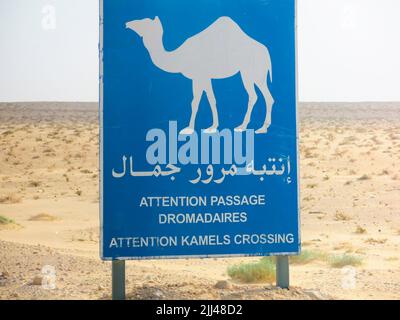 Panneau de Camel Crossing dans le désert du Sahara Banque D'Images