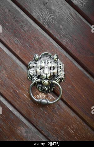 lion k.o. sur une ancienne porte en bois . Plan vertical , gros plan Banque D'Images