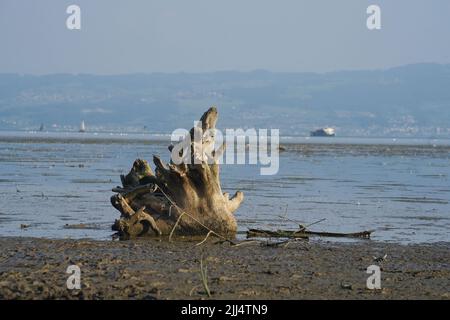 Friedrichshafen, Allemagne. 22nd juillet 2022. En raison du faible niveau d'eau du lac de Constance, il y a d'abord des problèmes de circulation maritime. Même le record de basse eau pour la saison pourrait bientôt tomber. (À dpa 'l'eau faible sur le lac de Constance cause les premiers problèmes pour les navires') Credit: Andreas Rosar/dpa/Alamy Live News Banque D'Images