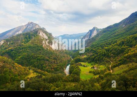 Vue sur la rivière Tara depuis le pont de l'arc de Djurdjevic au Monténégro et les paysages de montagne européens Banque D'Images