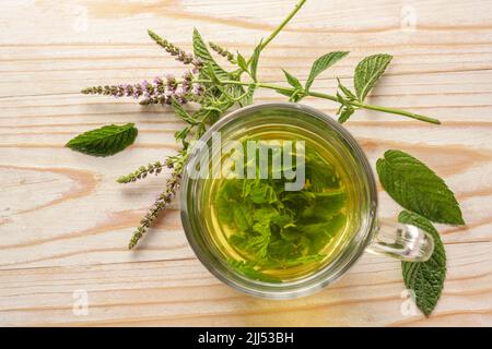 Tisane à base de feuilles de menthe poivrée fraîches dans une tasse de verre et quelques tiges de fleurs sur une table rustique en bois clair, espace de copie, foyer sélectionné, angle élevé Banque D'Images