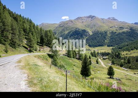 'La Forcola di Livigno', sur le chemin de Livigno, de la frontière suisse, AINSI, Valtellina, Italie Banque D'Images