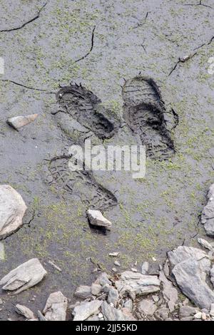 Un photogrpah intéressant de boue séchée fissurée avec des empreintes de pas, au 'Passo del Foscagno', sur le chemin de Livigno, SO, Valtellina, Italie Banque D'Images