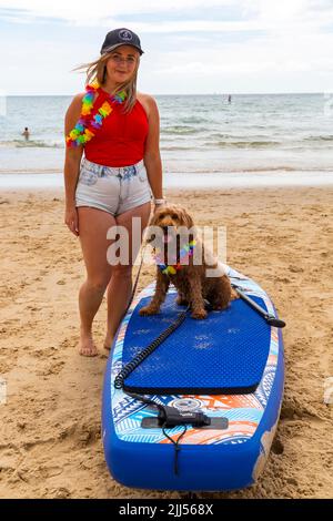 Branksome Dene Chine, Poole, Dorset, Royaume-Uni. 23rd juillet 2022. Le festival britannique des maîtres-chiens des championnats de surf, organisé par Shaka Surf, a lieu sur la plage Branksome Dene Chine. Le seul concours de surf pour canines de Britains, maintenant dans sa quatrième année, est plus grand que jamais, avec 30 concurrents canins inscrits pour une course de paddleboard à rythme rapide, ainsi que le concours de déguisement de looklookFancy de propriétaire de chien, Mutts Market, Paw Inn Beach bar, spectacle de chiens, nourriture et plus, avec des concerts en soirée. Biscuit le Cockerpoo de 3 ans a l'air si coool sur planche de surf avec le propriétaire Jasmine! Crédit: Carolyn Jenkins/ Banque D'Images