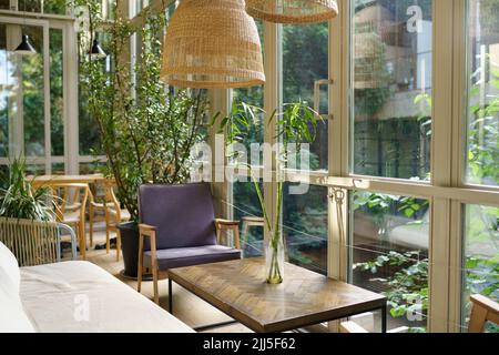 Intérieur naturel séjour. Chambre vide bien éclairée avec meubles en bois et beaucoup de plantes vertes Banque D'Images