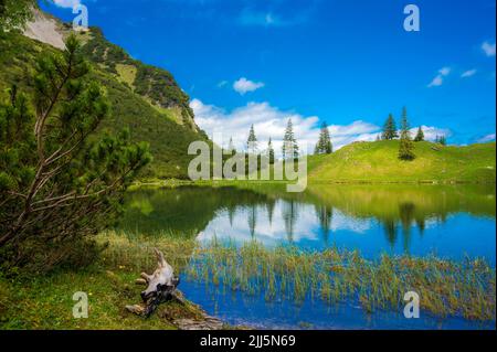 Allemagne, Bavière, rive du lac Unterer Gaisalpsee en été Banque D'Images