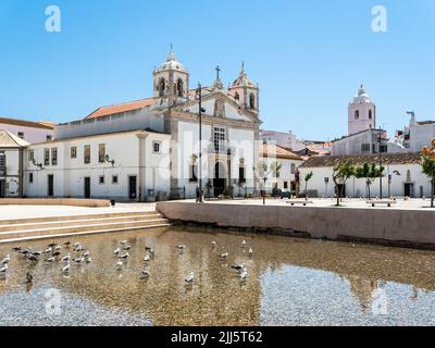 Portugal, Faro District, Lagos, Flock de pigeons debout dans les eaux côtières avec la place de la République et l'église de Santa Maria de Lagos en arrière-plan Banque D'Images