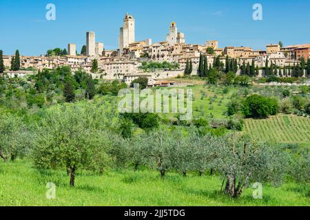 Italie, Toscane, San Gimignano, verger d'été avec ville médiévale en arrière-plan Banque D'Images