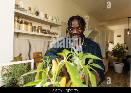 Homme souriant examinant l'usine de piment dans la cuisine Banque D'Images