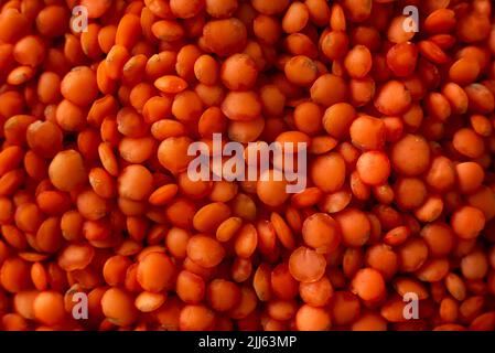Sécher les lentilles rouges très près. Gruau de lentilles rouges. Grains de lentilles d'orange séchés, pile de daal, daal brut, dhal, masur, Lentille culinaris ou lentille esculenta Banque D'Images