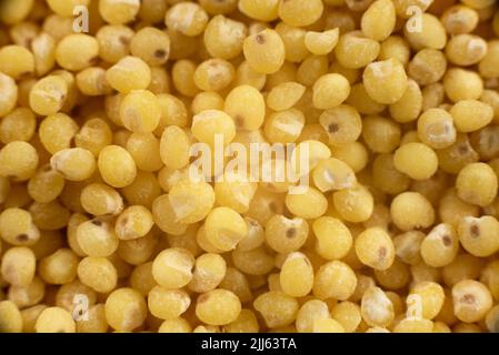 Le millet groats en très gros plan. Vue de dessus. Porridge de millet Banque D'Images