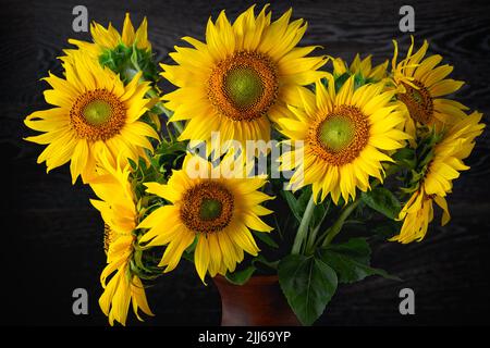 Bouquet de tournesols sur fond marron Banque D'Images