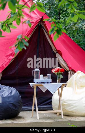 Photo du glamour dans la forêt en été Banque D'Images