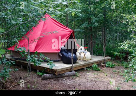 Photo du glamour dans la forêt en été Banque D'Images