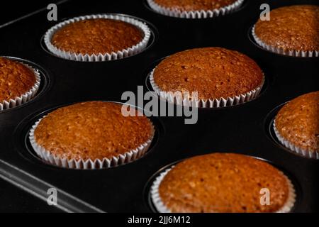 Petits gâteaux marrons cuits, muffins dans moule à muffins au four électrique - gros plan Banque D'Images