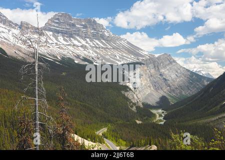 Vue panoramique par jour d'été depuis Big Hill et Big Bend point de vue avec paysage de glacier de montagne du parc national Jasper, le long de la promenade Icefields Banque D'Images