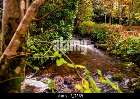 Glencar Waterfall Walk dans le comté de Leitrim, Irlande. Banque D'Images