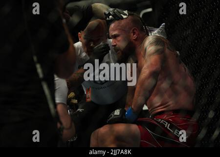 LONDRES, Royaume-Uni - JUILLET 23 : Nicolas Dalby se tient au coin de la rue entre les parties de son combat contre Cláudio Silva dans leur combat de poids-lourd pendant la nuit de combat de l'UFC : Blaydes v Aspinall à l'Arena O2 sur 23 juillet 2022, à Greenwich, Londres, Royaume-Uni. (Photo de Scott Garfitt/PxImages) Banque D'Images