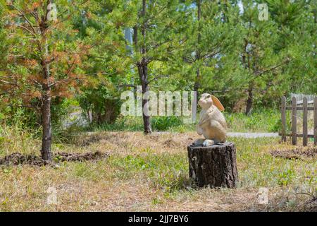 le lapin gris se trouve sur une souche dans la forêt Banque D'Images