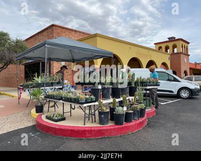 Marché hebdomadaire des producteurs de Heirloom à Green Valley, Arizona. Banque D'Images