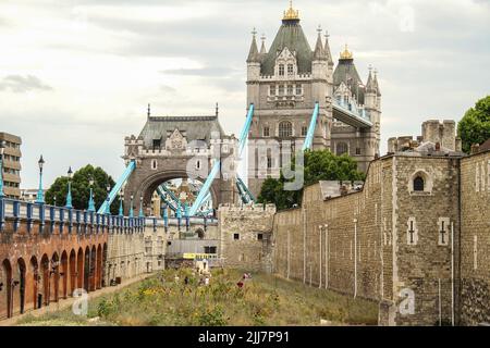 Londres, Royaume-Uni. 22nd juillet 2022. Tower Bridge vu en arrière-plan du Superbloom. Le Superbloom, un pré fleuri cultivé autour de la Tour de Londres pour marquer le jubilé de platine de la Reine. La prairie sera la première étape d'une transformation permanente de la lande en un nouveau paysage plus naturel dans une tentative de créer un refuge biodiversifié de la faune au milieu de la ville. Le Superbloom se déroule du 1 juin au 18 septembre 2022. Crédit : SOPA Images Limited/Alamy Live News Banque D'Images