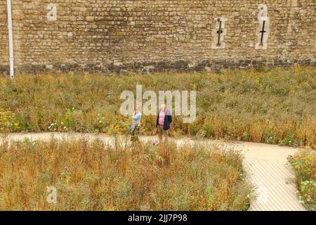 Londres, Royaume-Uni. 22nd juillet 2022. Les gens marchent autour de la Superbloom, un pré fleuri cultivé autour de la Tour de Londres pour marquer le jubilé de platine de la Reine. La prairie sera la première étape d'une transformation permanente de la lande en un nouveau paysage plus naturel dans une tentative de créer un refuge biodiversifié de la faune au milieu de la ville. Le Superbloom se déroule du 1 juin au 18 septembre 2022. Crédit : SOPA Images Limited/Alamy Live News Banque D'Images