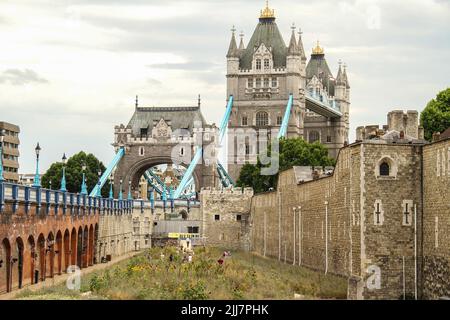 Londres, Royaume-Uni. 22nd juillet 2022. Tower Bridge vu en arrière-plan du Superbloom. Le Superbloom, un pré fleuri cultivé autour de la Tour de Londres pour marquer le jubilé de platine de la Reine. La prairie sera la première étape d'une transformation permanente de la lande en un nouveau paysage plus naturel dans une tentative de créer un refuge biodiversifié de la faune au milieu de la ville. Le Superbloom se déroule du 1 juin au 18 septembre 2022. (Photo de David Mbiyu/SOPA Images/Sipa USA) Credit: SIPA USA/Alay Live News Banque D'Images