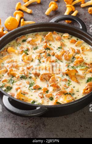 Sauce crémeuse aux chanterelles, au fromage, à l'ail et aux herbes, dans une poêle à frire sur la table. Verticale Banque D'Images