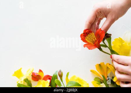 composition florale flore arrangement alstroemeria Banque D'Images