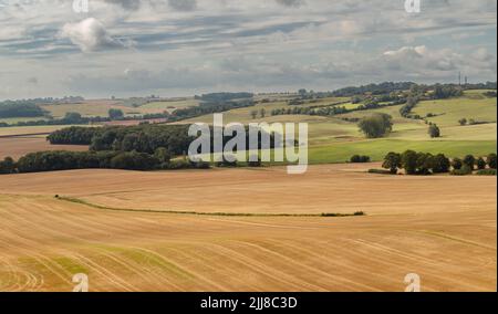 Paysage rural en été Banque D'Images