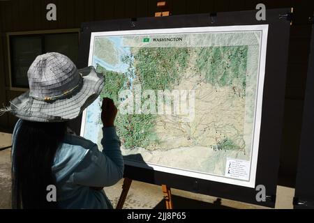 Femme regardant une carte montrant les lieux des observations de Sasquatch exposées au Metaline Falls Bigfoot Festival, dans l'État de Washington, États-Unis. Banque D'Images