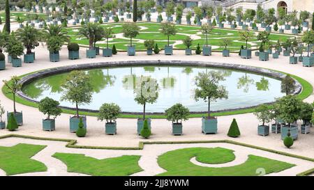 VERSAILLES / FRANCE - 16 juin 2019 : les jardins de l'Orangerie avec des orangers, des citronniers, des lauriers roses, des palmiers et des grenades au château de Versailles Banque D'Images