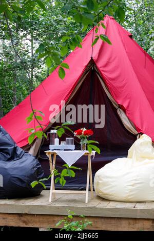 Photo du glamour dans la forêt en été Banque D'Images