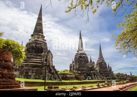 Le Prang de Wat Phra si Sanphet, qui signifie « Temple du Saint, Splendid Omniscient », était le temple le plus sacré d'Ayutthaya en Thaïlande. Banque D'Images